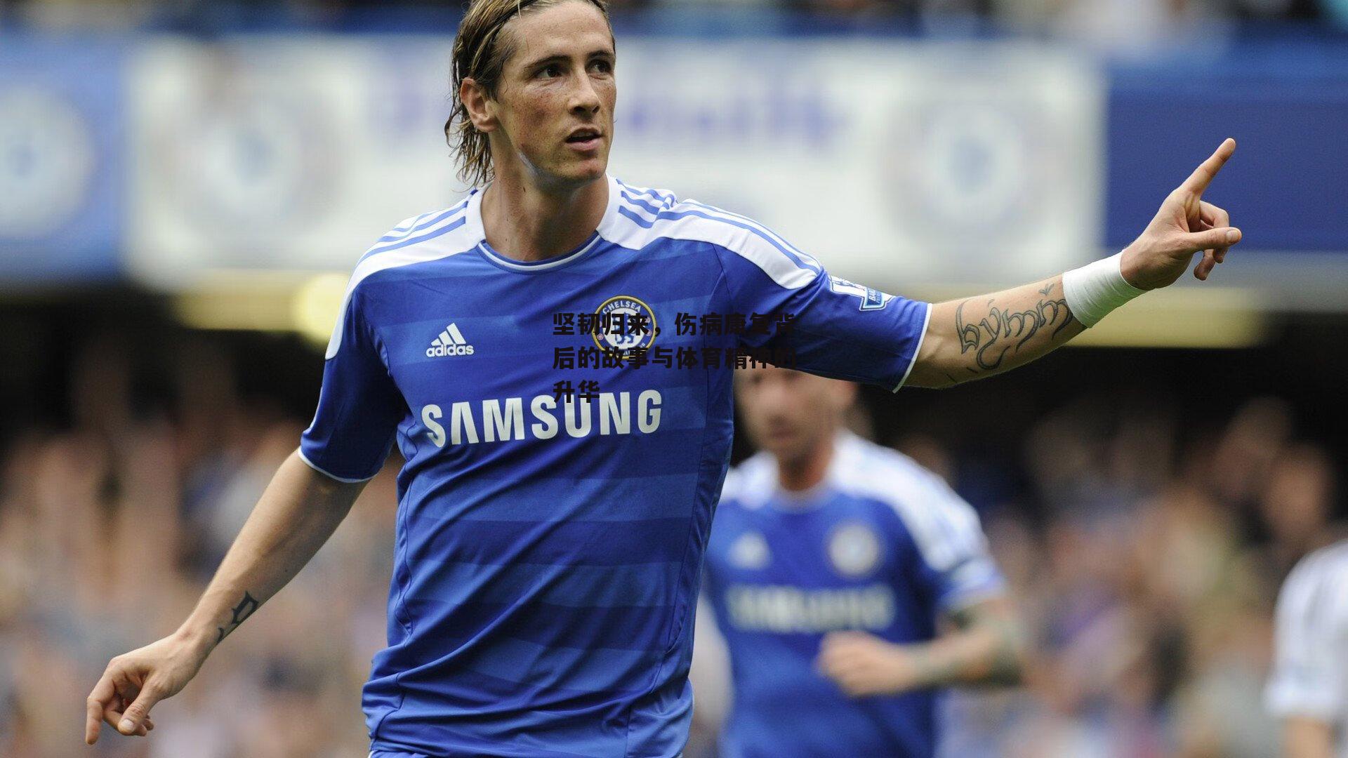 坚韧归来,伤病康复背后的故事与体育精神的升华