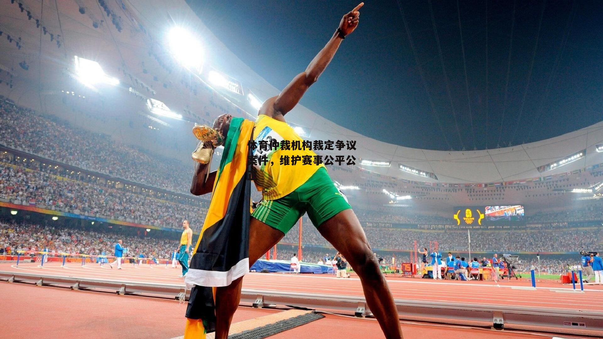体育仲裁机构裁定争议案件,维护赛事公平公正