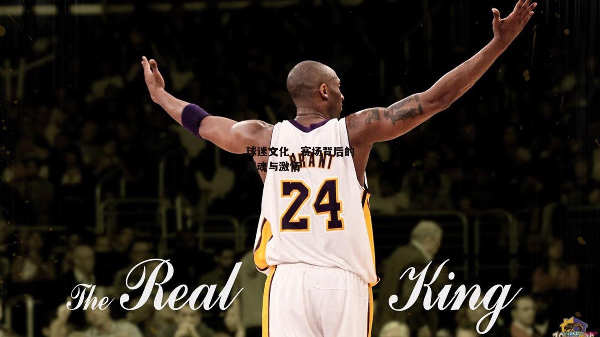 球迷文化<a href=